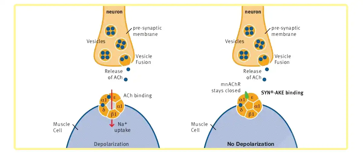 Dipeptide Diaminobutyroyl Benzylamide Diacetate Factory.jpg